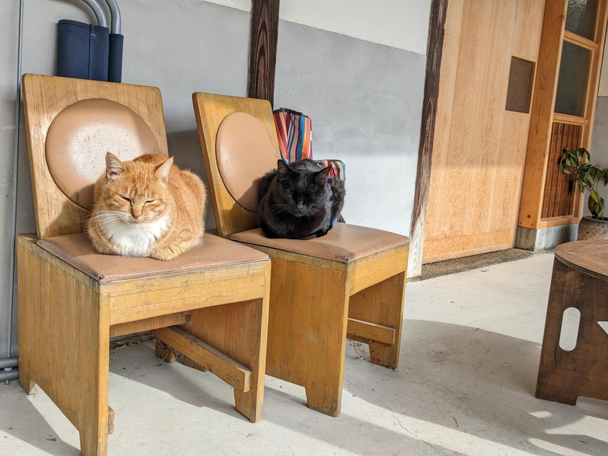 猫と図書館のある宿 草地家 Kusachike 미나미아와지 외부 사진