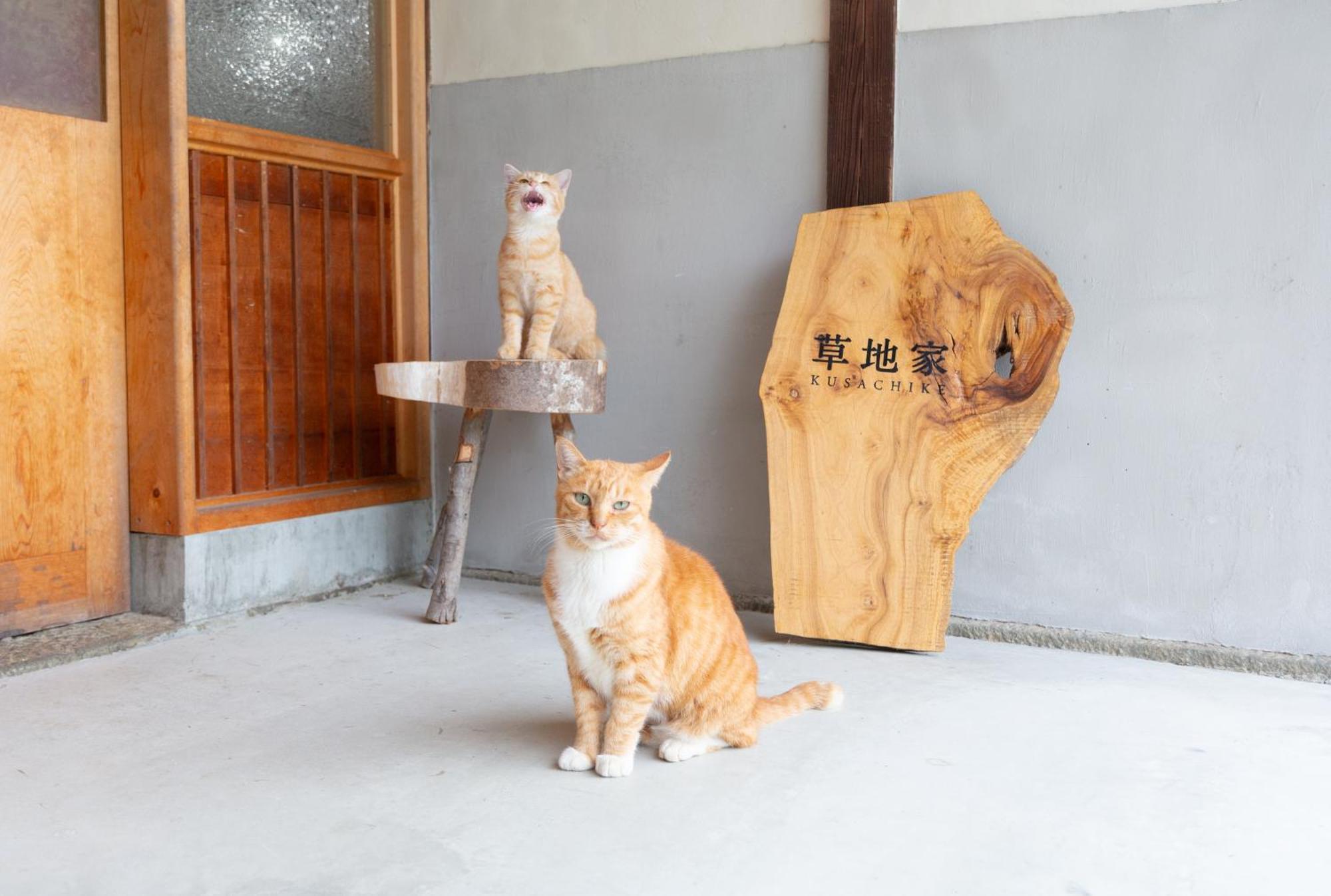 猫と図書館のある宿 草地家 Kusachike 미나미아와지 외부 사진